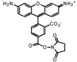 5f30f58c493ae.png image.png