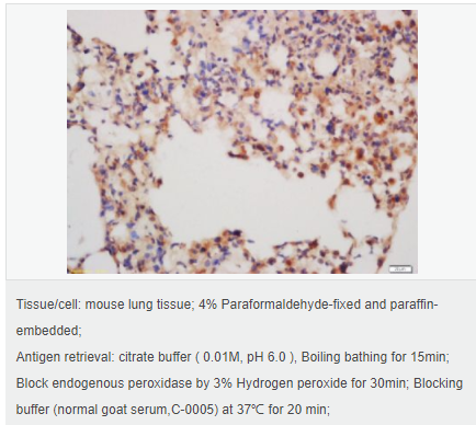 6052af493d34c.png image.png