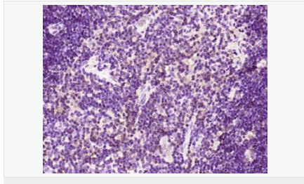 6052bb6e86071.png image.png