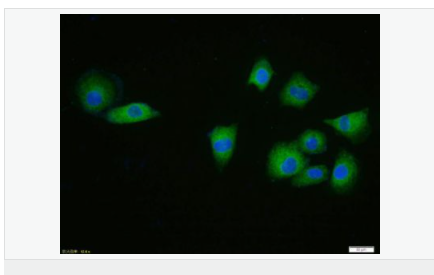 60594b81d23cd.png image.png