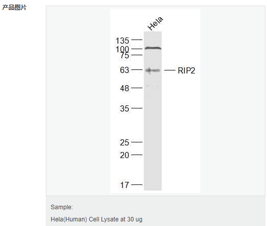 60616ef708c22.png image.png