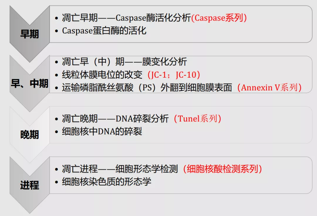 6066d7bac7204.jpg 1617352608(1).jpg