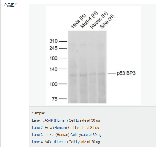 606bcdadcfabc.png image.png