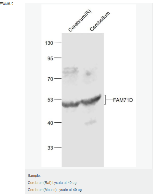 607648e86f9cb.png image.png