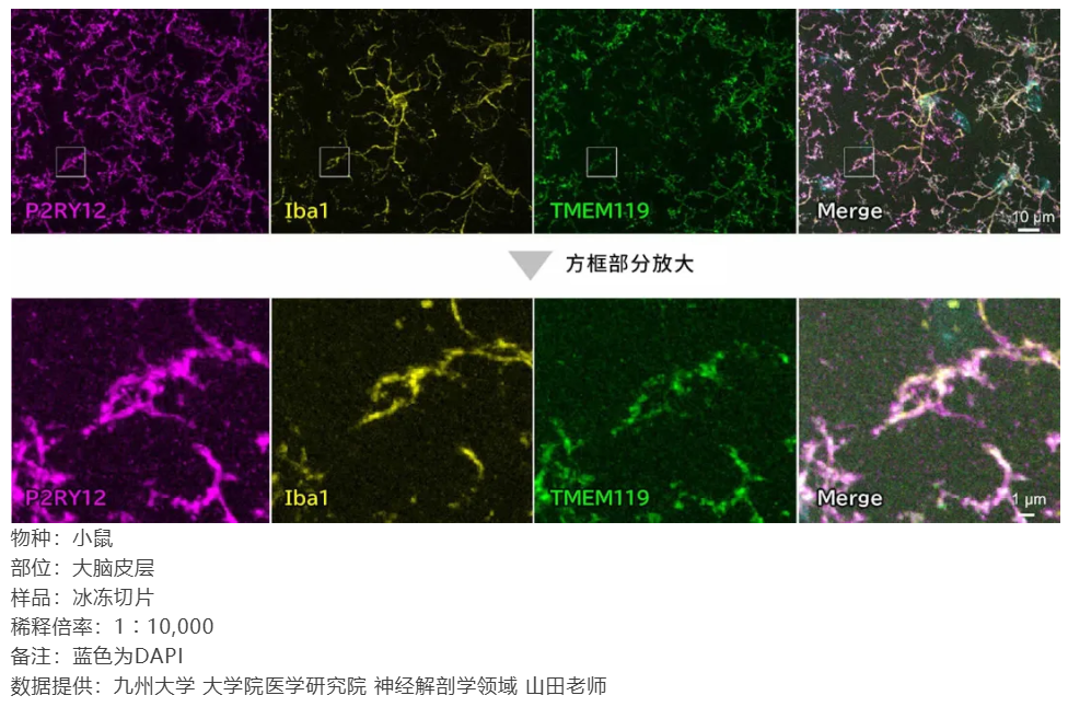 67ab012ccb9da.png image.png